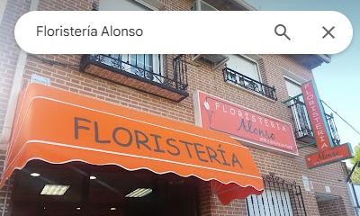 Fachada real de Floristería Alonso en Illescas